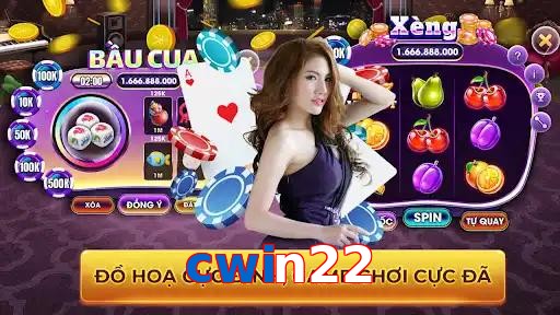 cwin22