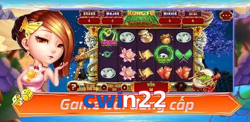cwin22